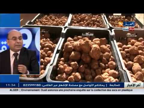 شاهد إسماعيل لالماس يكشف عن تهريب بطاطا ترفاس
