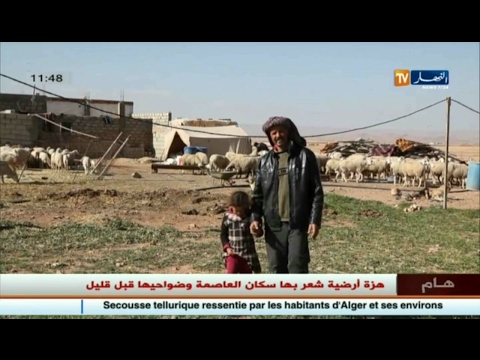 شاهد مسعود عنوان التحدي