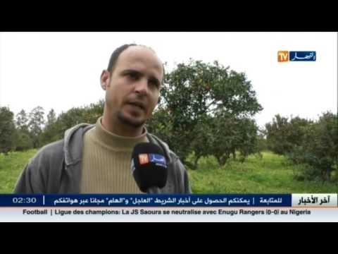 أفكار فلاحية بسيطة لاستغلال المساحات الضيقة في الحقول