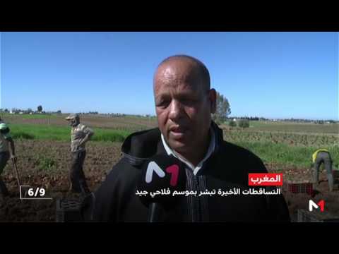 شاهد التساقطات المطرية الأخيرة تبشر بموسم فلاحي جيد