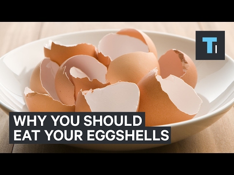 شاهد أبرز الاستخدامات المذهلة لقشر البيض