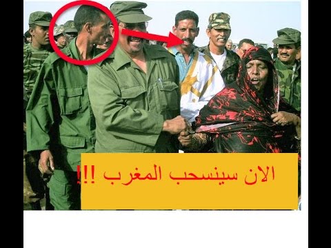بالفيديو  الحقيقة الصادمة لانسحاب المغرب من الكركرات