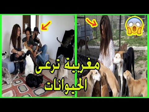 بالفيديو مواطنة مغربية ترعى الحيوانات الضالة في تطوان