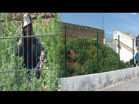 شاهد لقطة الأسبوع في برنامج هواة