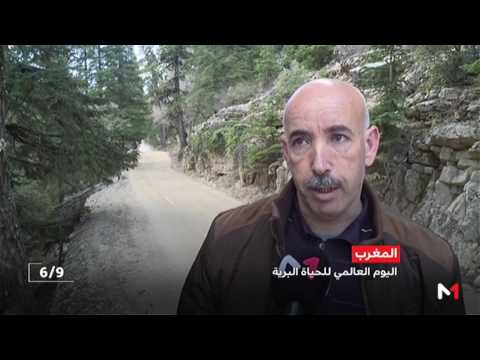 شاهد المنتزه الوطني تلاسمطان نواة للمحافظة على التنوع البيولوجي