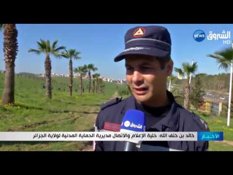 غرس 2000 شجرة بمشاركة نسائية في ولاية الجزائر