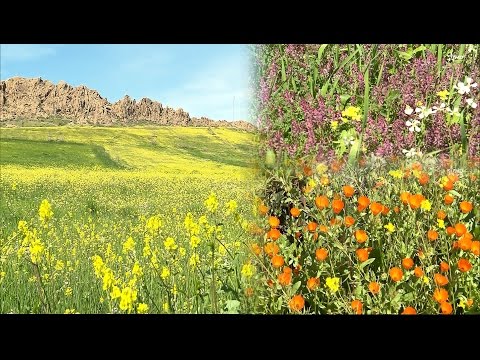 تعرف على منطقة امريرت في اقليم خنيفرة