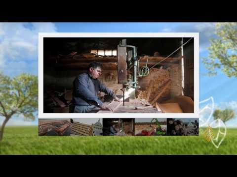 بالفيديو تعرف على أجود أنواع الأخشاب الطبيعية