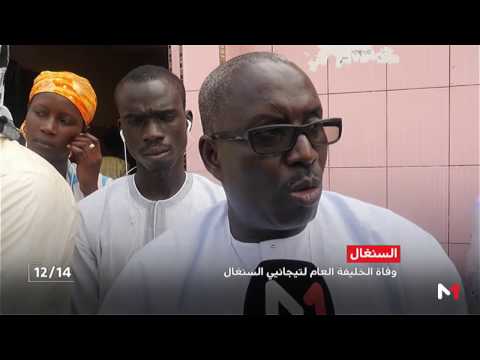 بالفيديو  السنغاليون يعيّنون خليفة جديدًا بعد وفاة الشيخ أحمد تيديان