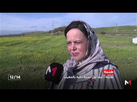 شاهد مشروع مدينة محمد السادس طنجة تيك