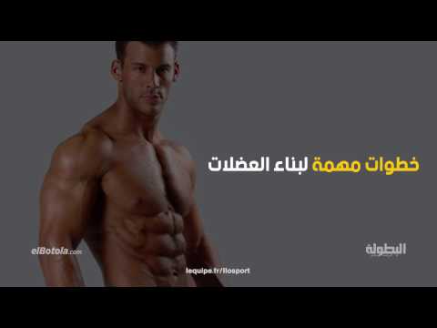 شاهد خطوات مهمة لبناء العضلات