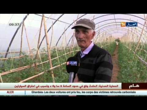 الحاج عبد السلام قدوة الشباب في النهوض بالزراعة وخدمة الأرض