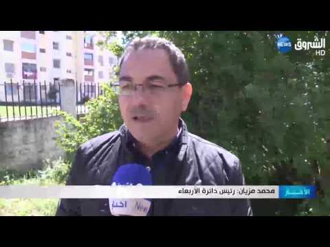 حملة غرس 200 زهرة وشجيرة لاستعادة رونق البليدة