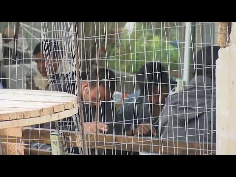 النمسا تطلب مهلاً جديدة تعفيها من استقبال اللاجئين