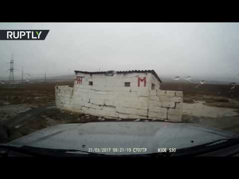 العناية الإلهية تنقذ عائلة من الموت داخل دورة مياه