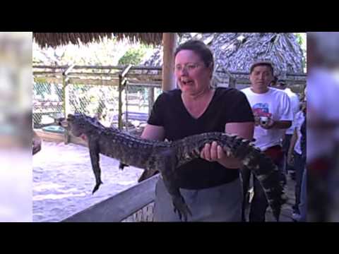 شاهد امرأة تصاب بالفزع والخوف والسبب تمساح صغير