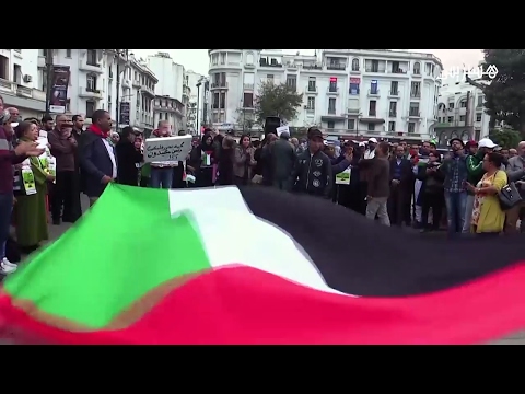 بيضاويون يحيون يوم الأرض تضامنًا مع الشعب الفلسطيني