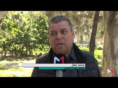 الشغب في الملاعب هاجس مؤرق لأجواء الكرة المغربية