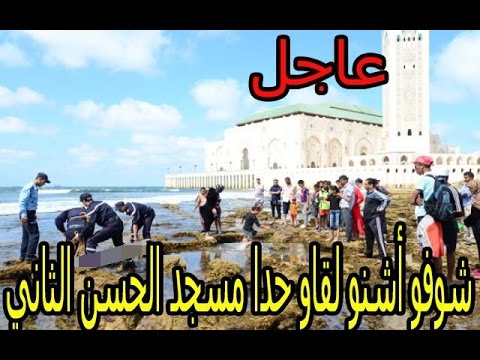 شاهد العثور على جثّة شاب ثلاثيني على شاطئ عين الذئاب