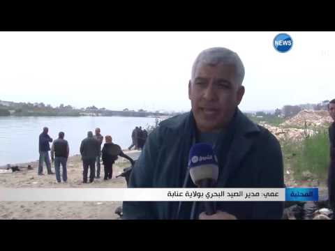 شاهد  نفوق أطنان من الأسماك في عنابة