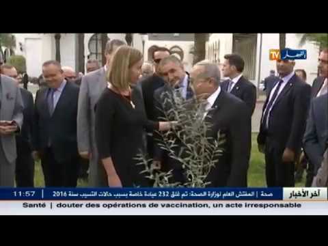 بالفيديو لعمامرة يتّصل بممثلة الاتحاد الأوروبي للشؤون الخارجية