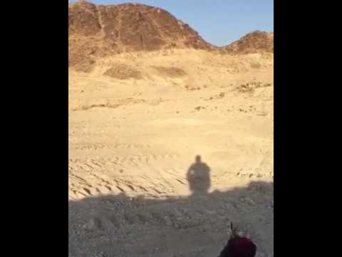 شاهد مفاجأة غير متوقعة لسعوديين يتدربون على الرماية في الصحراء