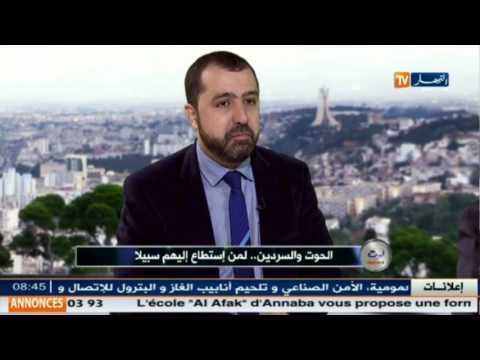 بالفيديو  110 ملايين دولار قيمة استيراد الحوت في الجزائر