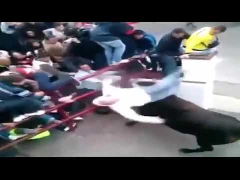 شاهد رد فعل ثور خدعه رجل وتظاهر أمامه بالموت