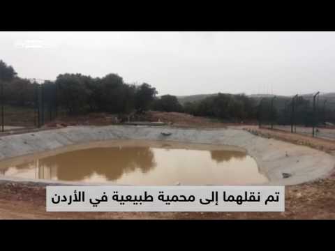 شاهد تطرف داعش يطول الإنسان والحيوان