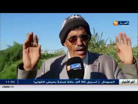 شاهد أسعار التمور تتضاعف لغياب آليات ضبط السوق