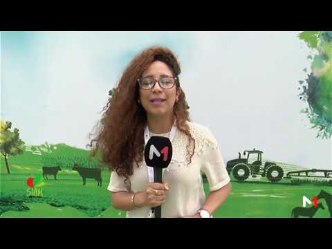 شاهد أجواء انطلاق الدورة الثانية عشرة للمعرض الدولي للزراعة