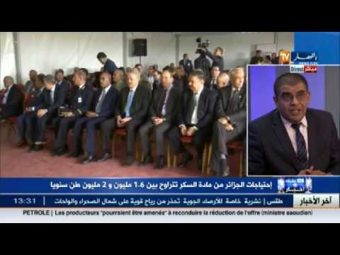 احتياجات الجزائر من مادة السكر تقارب المليوني طن سنويا