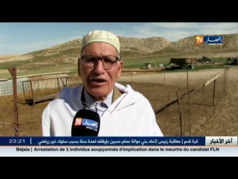 استغلال الطاقة الشمسية لمواجهة غلاء تكلفة الكهرباء الفلاحية