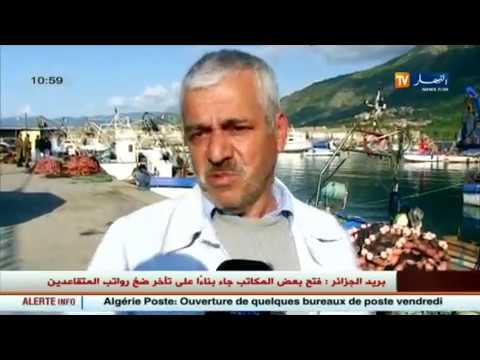 بالفيديو عزوف جماعي للصيادين في ميناء جيجل