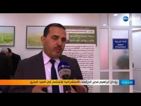 البدء في صناعة أعلاف الأسماك محليًا في الجزائر