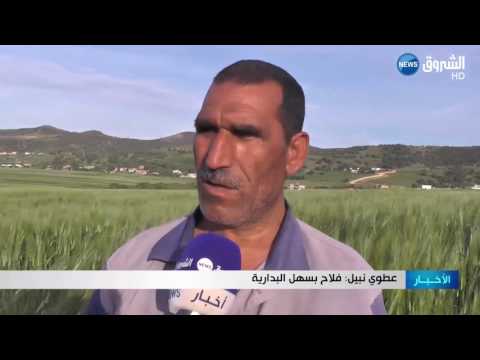 الحياة تعود إلى سهل البدارية والفلاحون يطالبون بحاجز مائي
