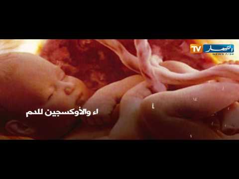 نجاح أول تجربة لرحم اصطناعي للأطفال الخدج