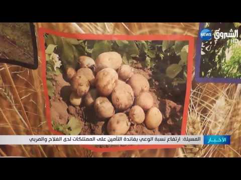 ارتفاع نسبة الوعي بفائدة التأمين على الممتلكات