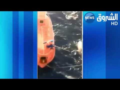 بالفيديو  جزائري ينقذ حوتًا من شباك صيد