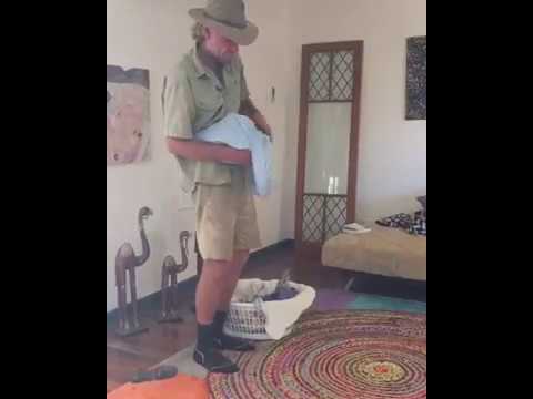 شاهد لحظة خلود صغار حيوان الكنغر إلى النوم بطريقة مذهلة