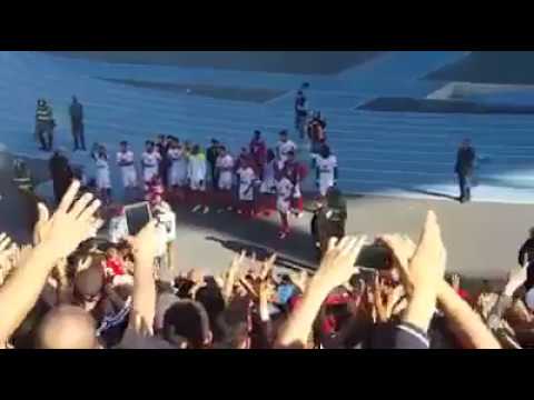 شاهد احتفال لاعبي الوداد مع الجمهور