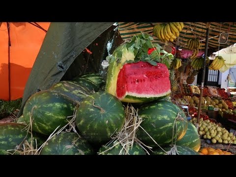 شاهد بائعو الدلاح و سماد البراز البشري