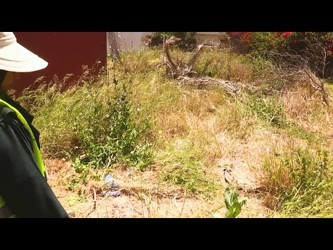 شاهد العثور على جثة في أحد شوارع الدار البيضاء