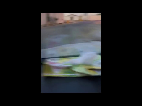 شاهد ذئب هارب في أحد شوارع سليمانية سكاكا