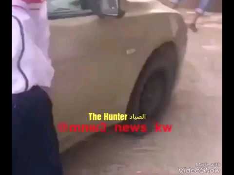 لحظة هجوم كويتية على رجل بسبب «خروف»
