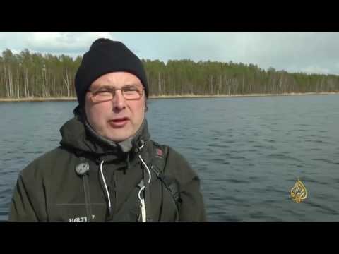 شاهد حملة لإنقاذ فصيلة من فقمات المياه العذبة