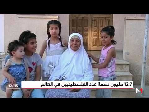 شاهد تجاوز عدد الفلسطينيين في العالم إلى 12 مليون نسمة
