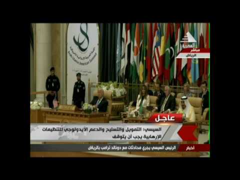 بالفيديو الرئيس السيسي يؤكد ضرورة تسوية القضية الفلسطينية