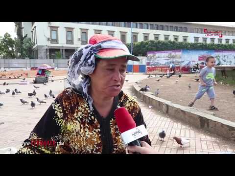 المصورون والنقاشون يخافون الشوماغ