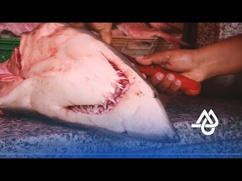 شاهد  أسعار السمك تلتهب